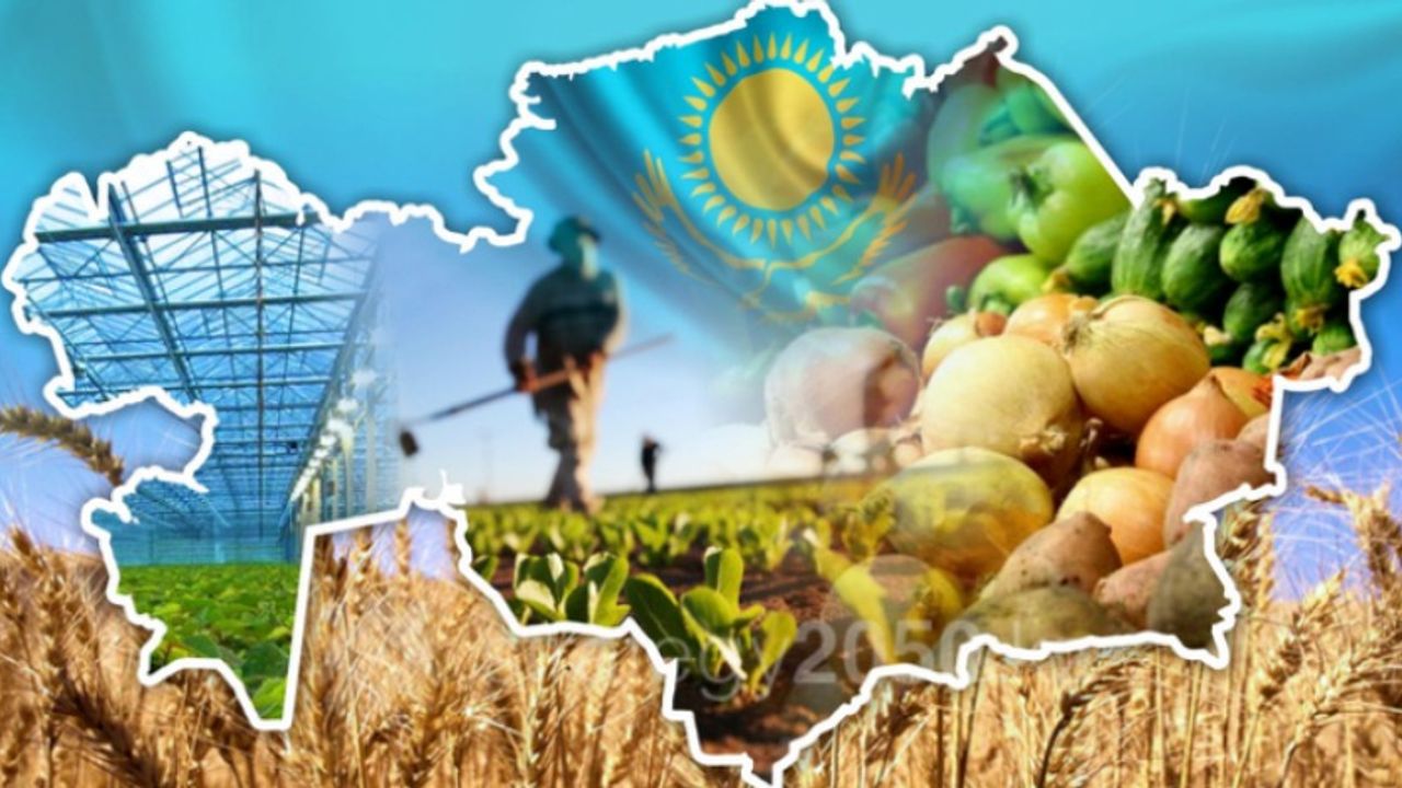 Kazakistan’da tarım arazilerinin yabancılara satılması yasaklandı