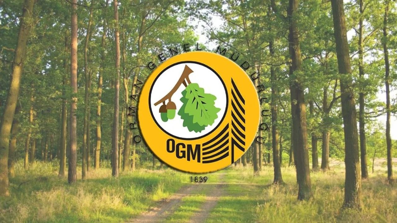 Orman Genel Müdürlüğü 338 Sözleşmeli Personel alıyor