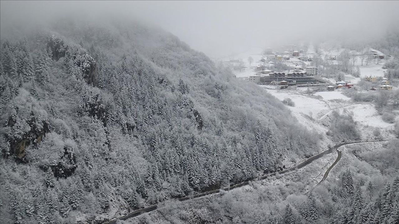 Zigana Dağı'nda kar ve sis etkili oldu