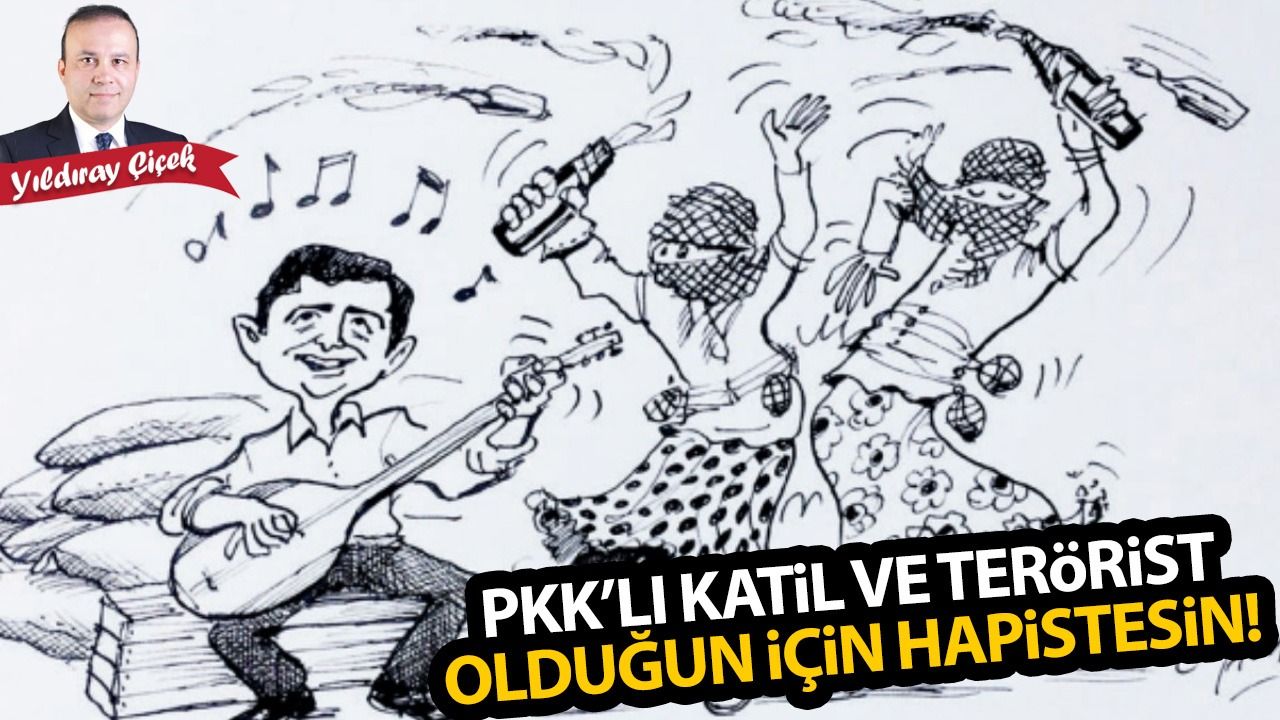 PKK'lı katil ve terörist olduğun için hapistesin!