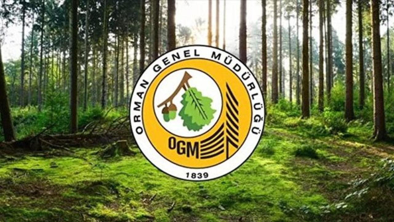 Orman Genel Müdürlüğü 249 Orman Mühendisi alıyor
