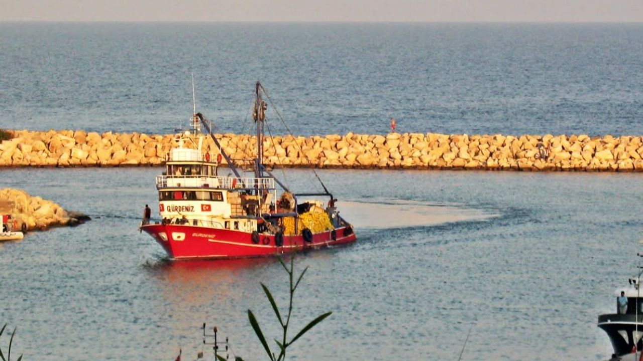 Balıkçı ağlarına takılan devasa balık şaşırttı! Türkiye sularında ilk kez...