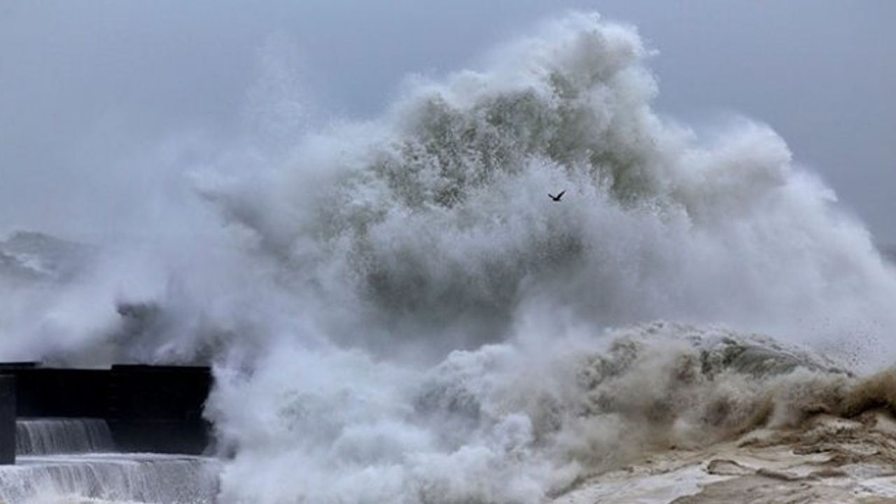 Ege'deki depremler sonrası uzman isimden korkutan sözler: Bizim tarafa doğru Tsunami gelebilir
