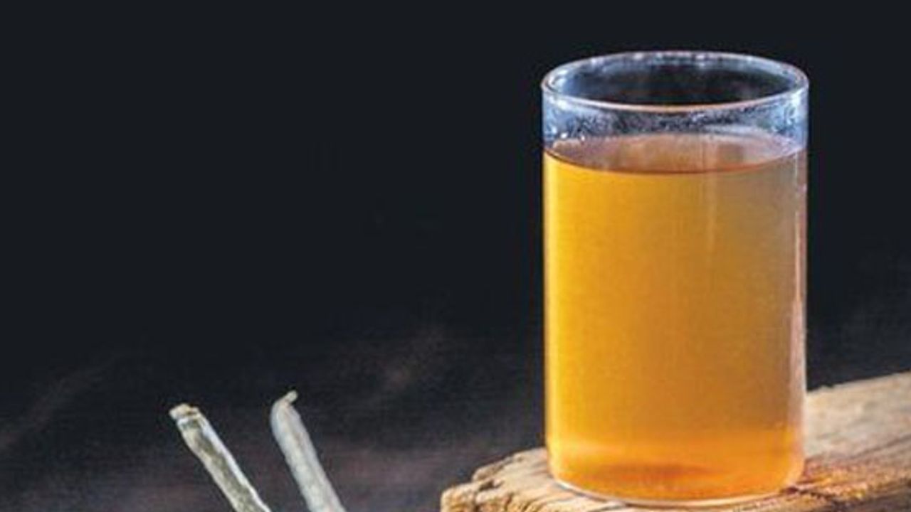 Ada çayının faydaları: Ada çayı ses kısıklığı, hafıza kaybına en şifa besin! Duyan resmen iki bardak içiyor