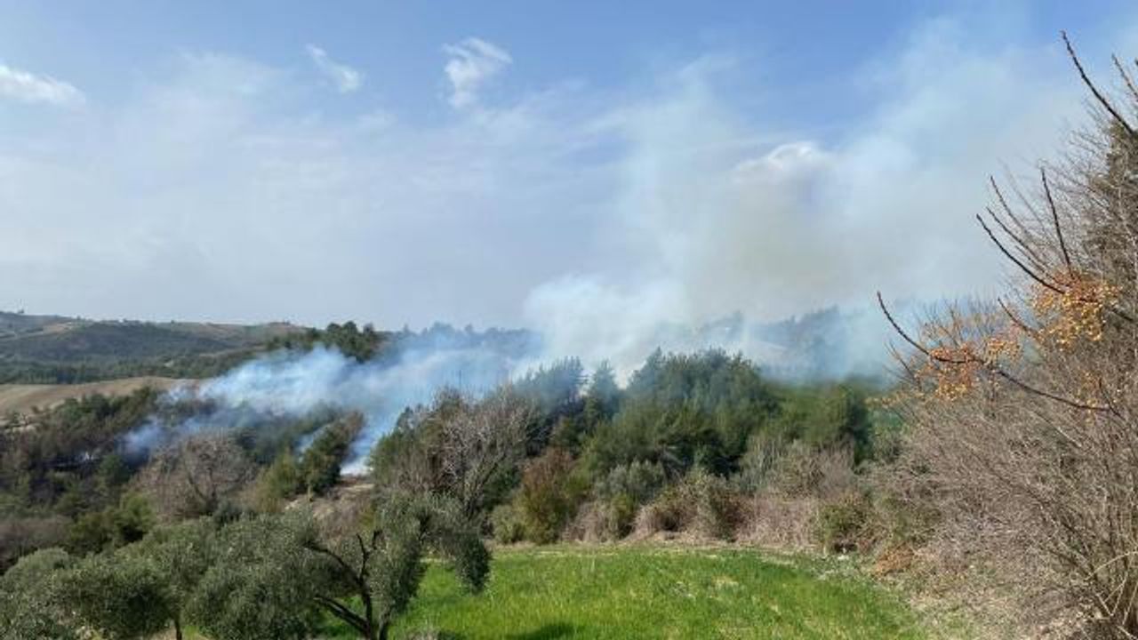 Osmaniye'de ormanlık alanda yangın