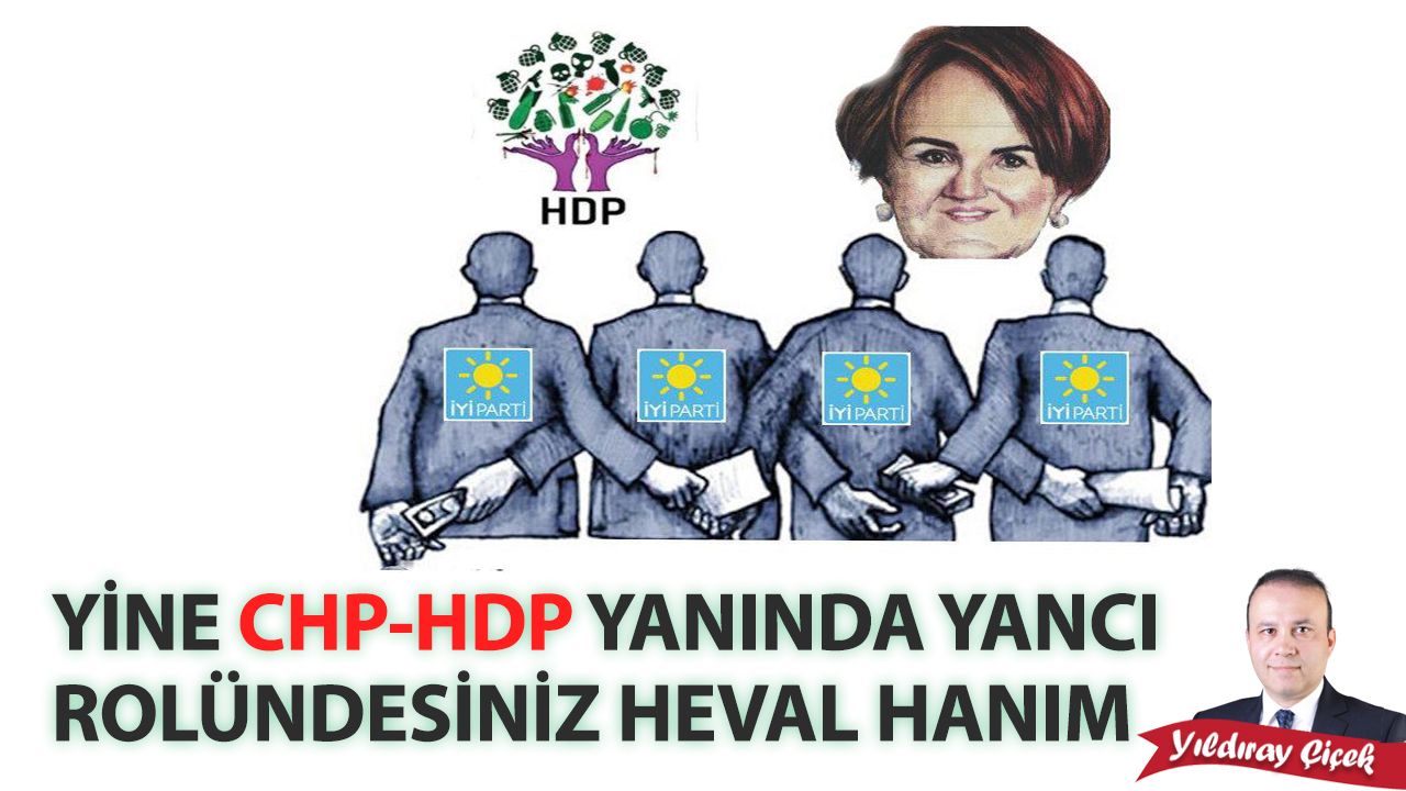 Yine CHP-HDP yanında yancı rolündesiniz Heval hanım