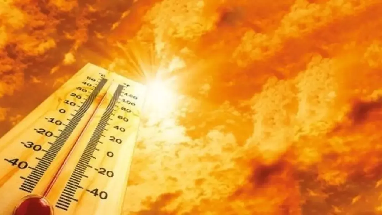 Dünyada sıcaklık rekoru