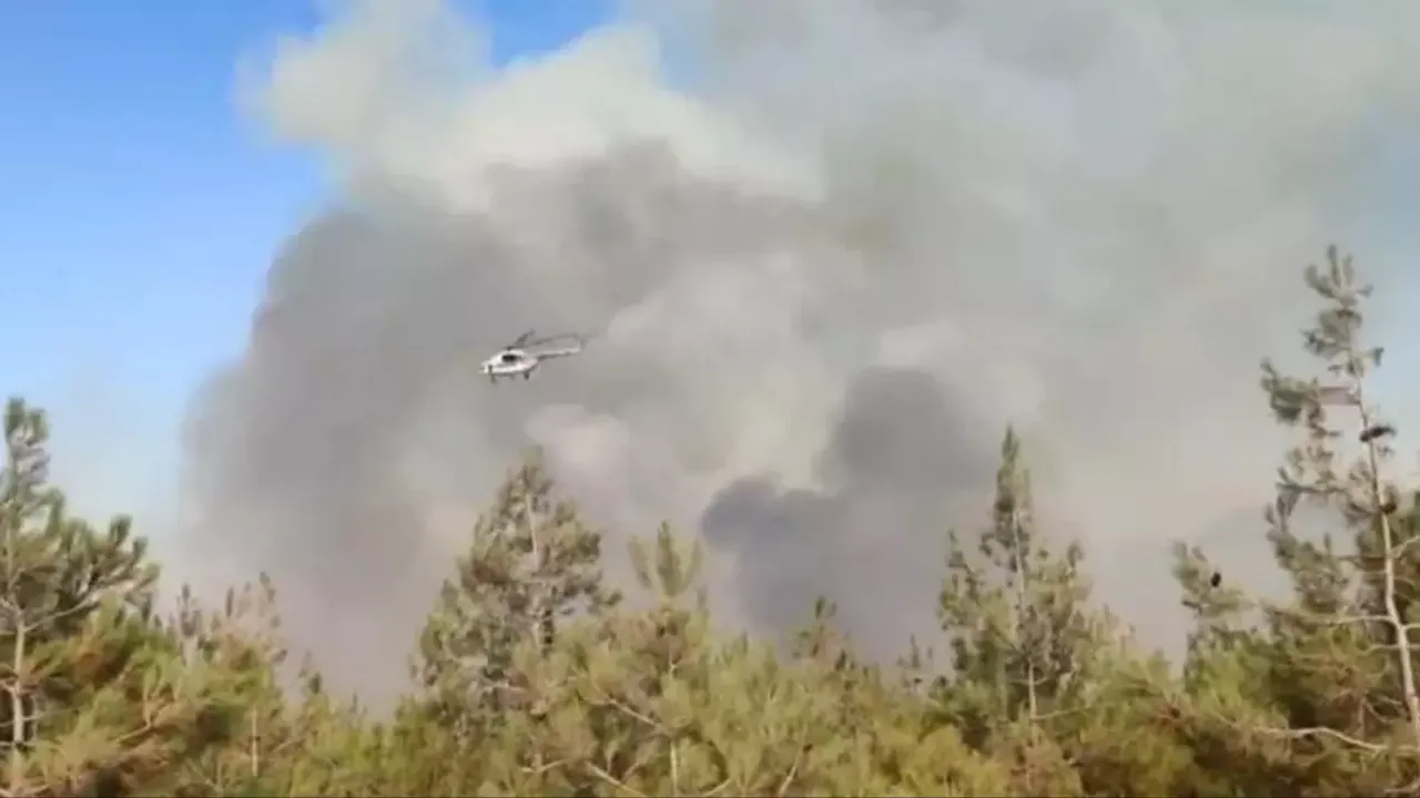 Gaziantep'te orman yangını: Müdahale başladı