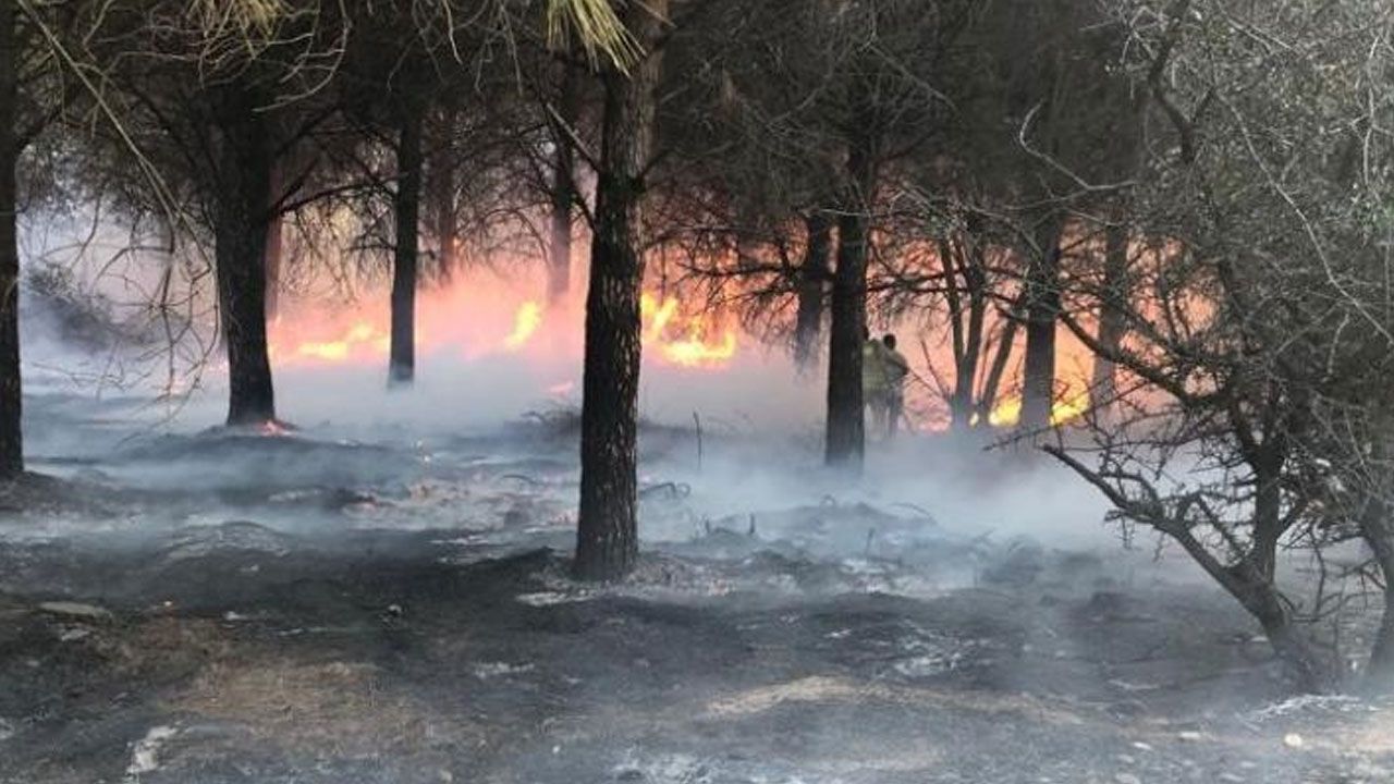 Alevlerle mücadele: 3 ilde çıkan orman yangınları kontrol altında