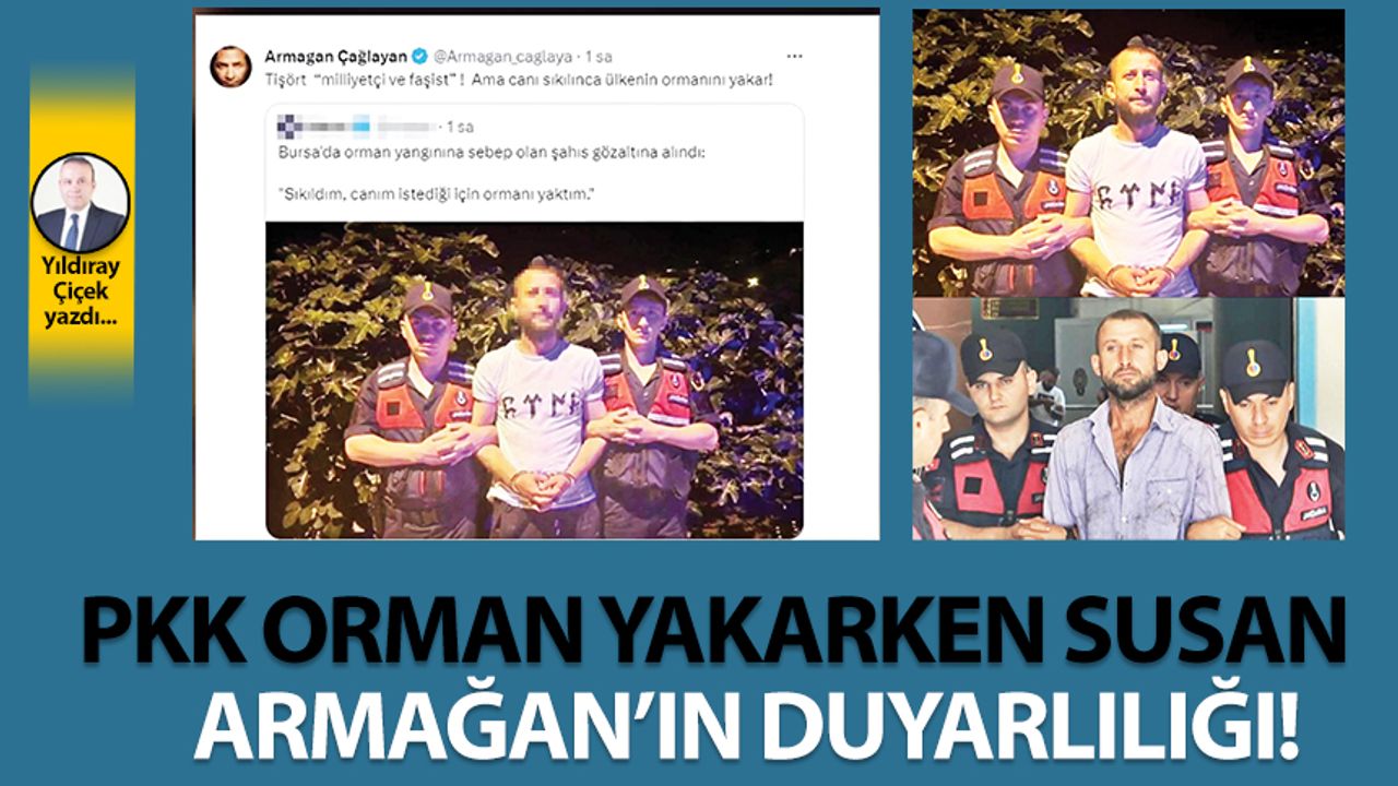 PKK orman yakarken susan Armağan'ın duyarlılığı!