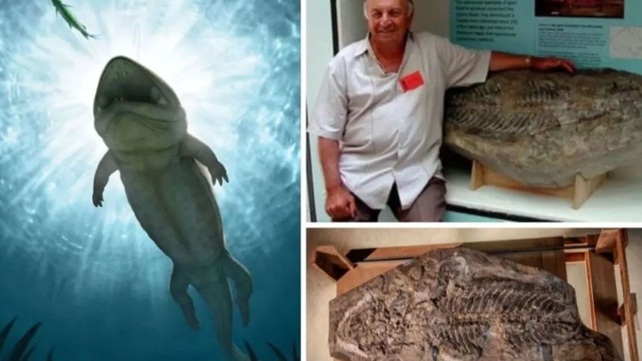 Avustralya'da bulunan fosilin 240 milyon yaşında olduğu anlaşıldı