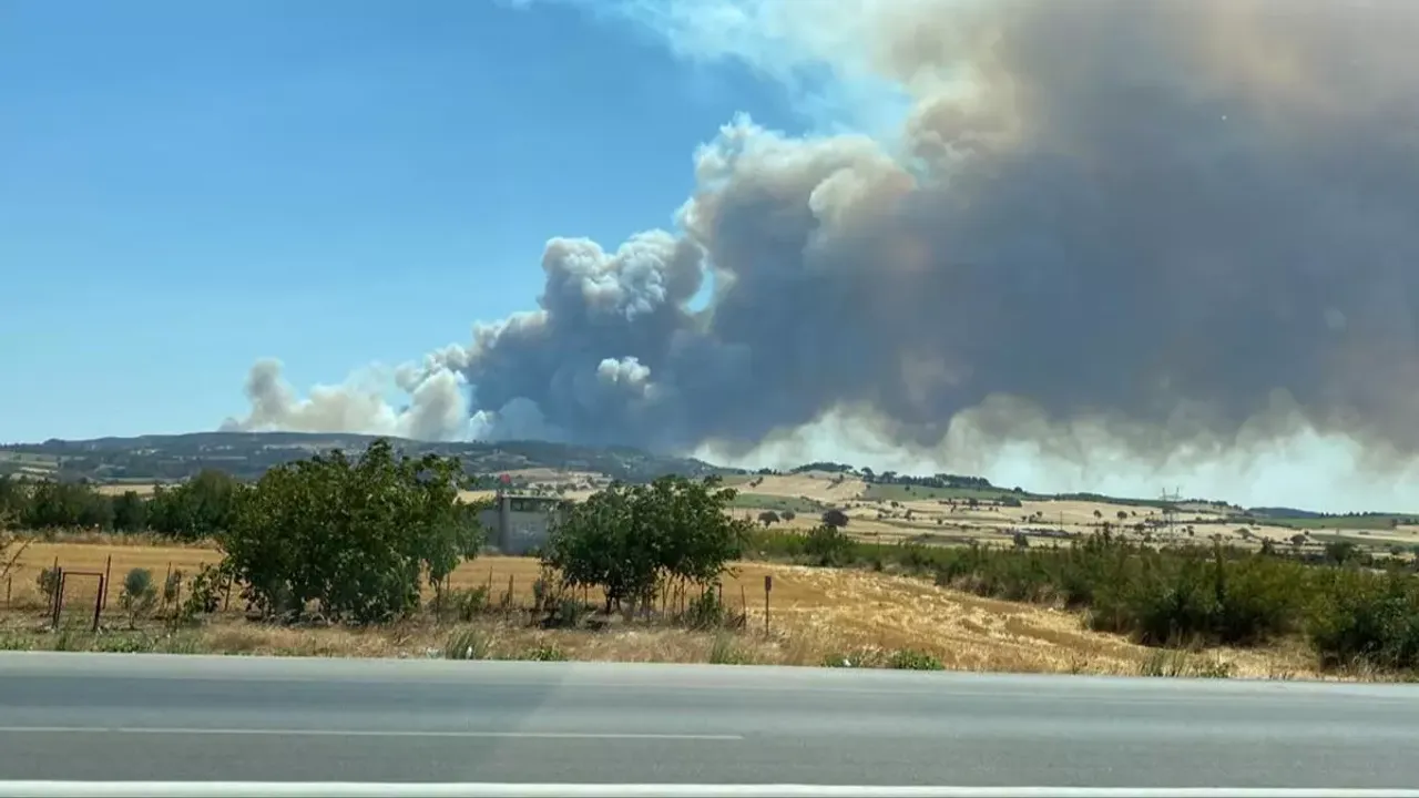Çanakkale, Bursa ve Bilecik'te orman yangını: Altı köy boşaltıldı... Çan yolu tedbir amacıyla ulaşıma kapatıldı!