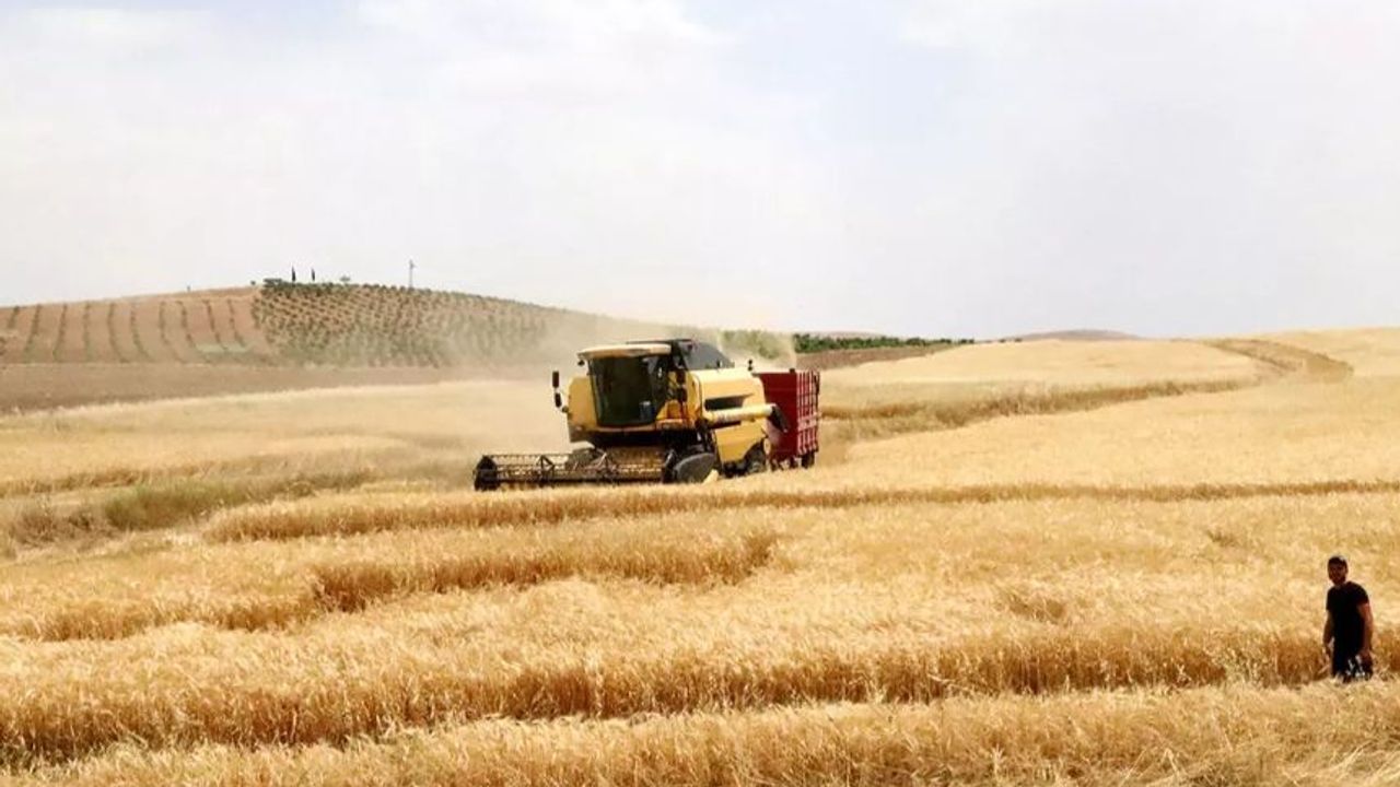 Kazakistan'dan Rusya'dan gelen tahıla 6 ay daha yasak