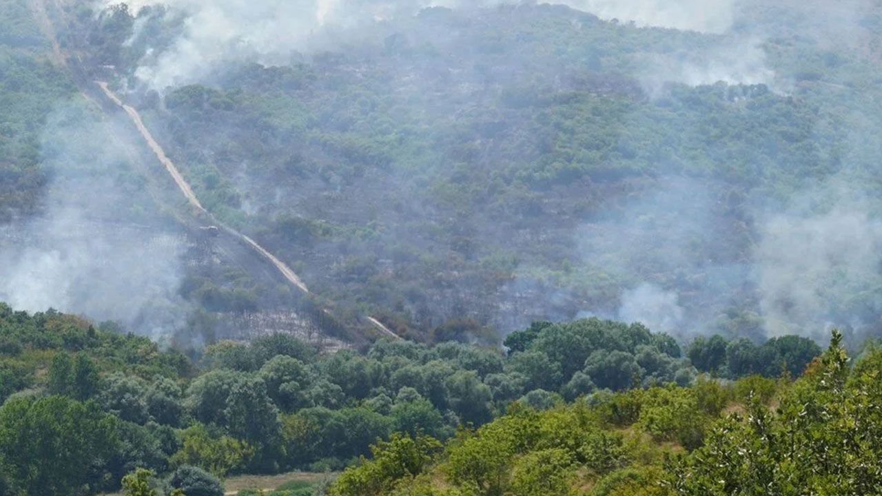 5 ilde orman yangını: Havadan ve karadan müdahale ediliyor