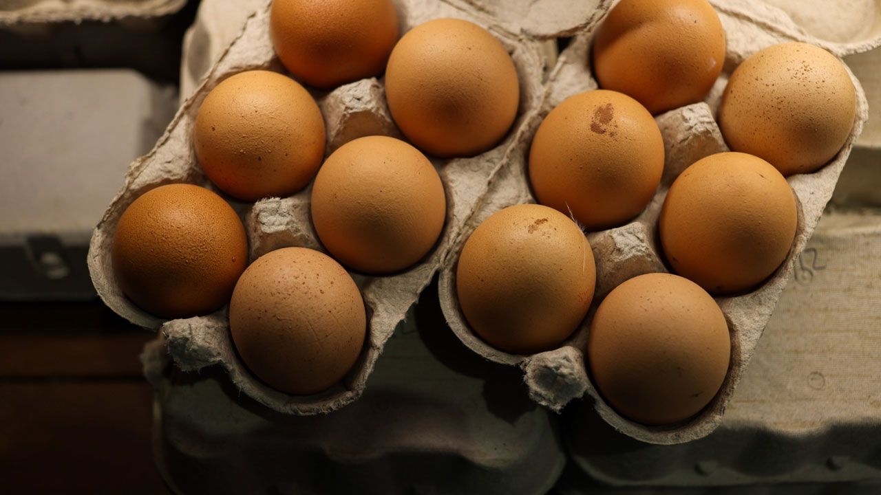 Yumurta viyolü üretimi yapan 5 firmaya soruşturma