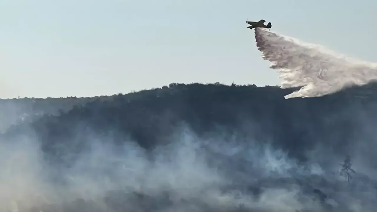 Yunanistan'da orman yangını: Acil durum ilan edildi