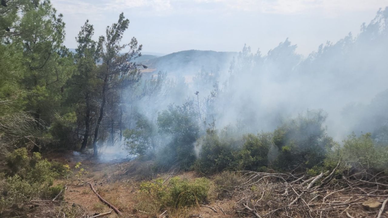 Çanakkale'de yıldırım isabet eden ormanlık alanda yangın çıktı
