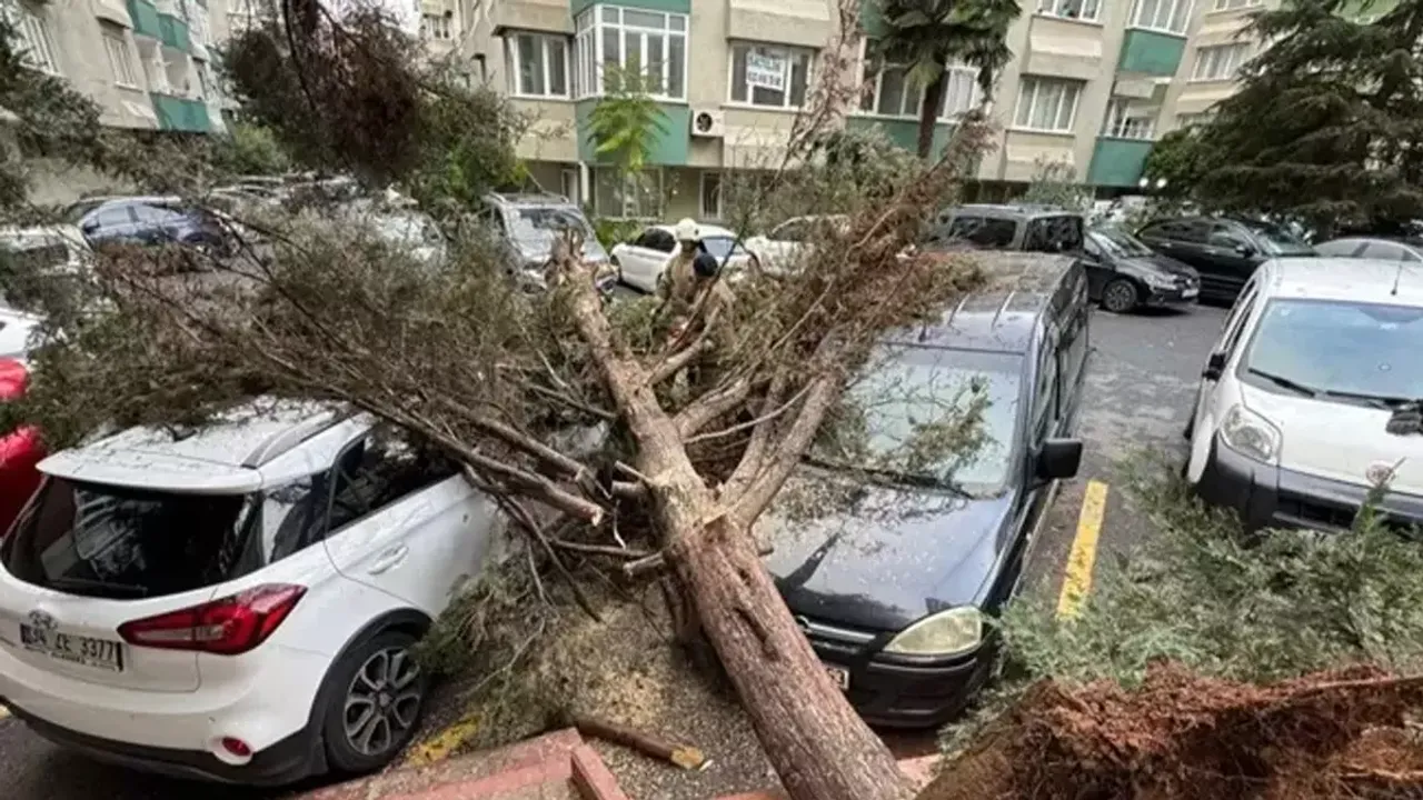 İstanbul'daki fırtınanın bilançosu açıklandı