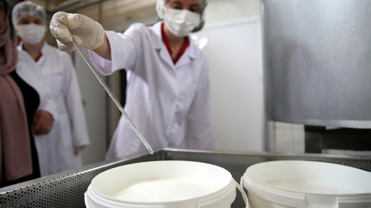 Çiğ süt ile ilgili karar 31 Aralık 2028'e kadar uzatıldı
