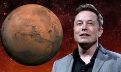 Elon Musk çılgın projesini ağzından kaçırdı!