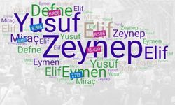 İşte, Türkiye'de en çok kullanılan isimler ve anlamları...