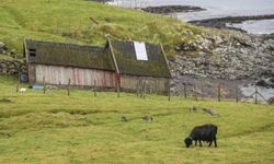 Duyunca çok şaşıracaksınız! Faroe Adaları ile ilgili çok ilginç bilgiler