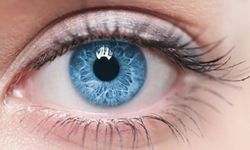 İnanılmaz araştırma: Mavi gözlü insanların soyu tek bir kişiye dayanıyor!