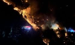 Antalya’nın Alanya ilçesinde orman yangını! 4 ayrı noktada başladı