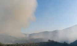 Osmaniye’de orman yangını