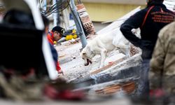 Arama kurtarma köpekleri enkaz altındaki yüzlerce cana umut oldu