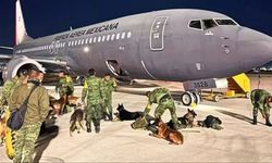 Meksika, meşhur arama kurtarma köpeklerini Türkiye'ye yolladı
