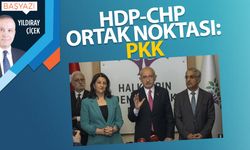 HDP-CHP ortak noktası: PKK