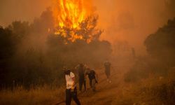 Yunanistan'da son 20 yıldaki orman yangınlarında yaklaşık 3 milyon dönüm zarar gördü