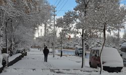 Erzurum, ilkbaharda yağan karla beyaza büründü
