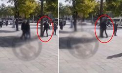 Ankara'da bir ağacı döven adamın görüntüleri kısa sürede viral oldu