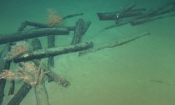2 antik gemi enkazı keşfedildi: İpek Yolu'na ışık tutacak