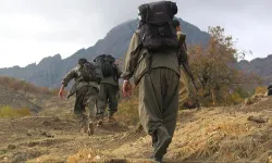 MSB: Barış Pınarı bölgesinde 1 PKK/YPG'li terörist Komandolarımıza teslim oldu