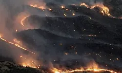 Adıyaman'da orman yangını: Ekiplerin müdahalesi devam ediyor