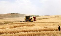 Kazakistan'dan Rusya'dan gelen tahıla 6 ay daha yasak