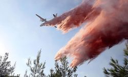 Orman yangınlarına müdahalede etkinlik "erken uyarı" sistemiyle arttı