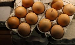 Yumurta viyolü üretimi yapan 5 firmaya soruşturma