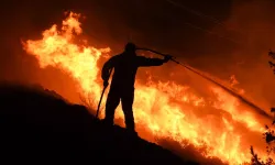 Yunanistan'da orman yangını: 18 kişinin cesedi bulundu