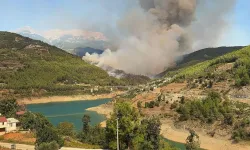 Antalya'daki orman yangını kontrol altına alındı