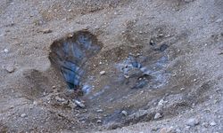 Konya'da şaşırtan keşif: 2,5 milyon yıllık...