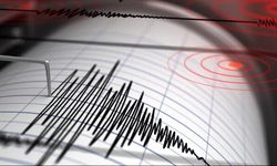 Bitlis ve Adana peş peşe depremlerle sarsıldı