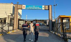 Sinop’ta aranan 25 şahıs yakalandı, 13’ü tutuklandı