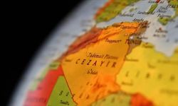 Cezayir'den ''tahtakurusu tehdidine'' karşı sınırda önlem