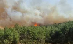Çanakkale'de orman yangını: 1 köy boşaltıldı