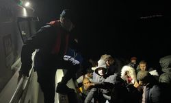 Bodrum açıklarında 84 düzensiz göçmen yakalandı