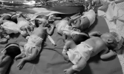 İsrail askerleri bebekleri ölüme terk etti